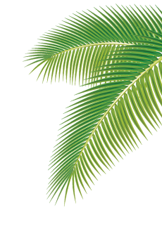 Bien Etre Demo 8 Be Af 02