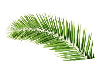 Bien Etre Demo 8 Bg 03