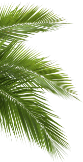 Bien Etre Demo 8 Uncategorized 02