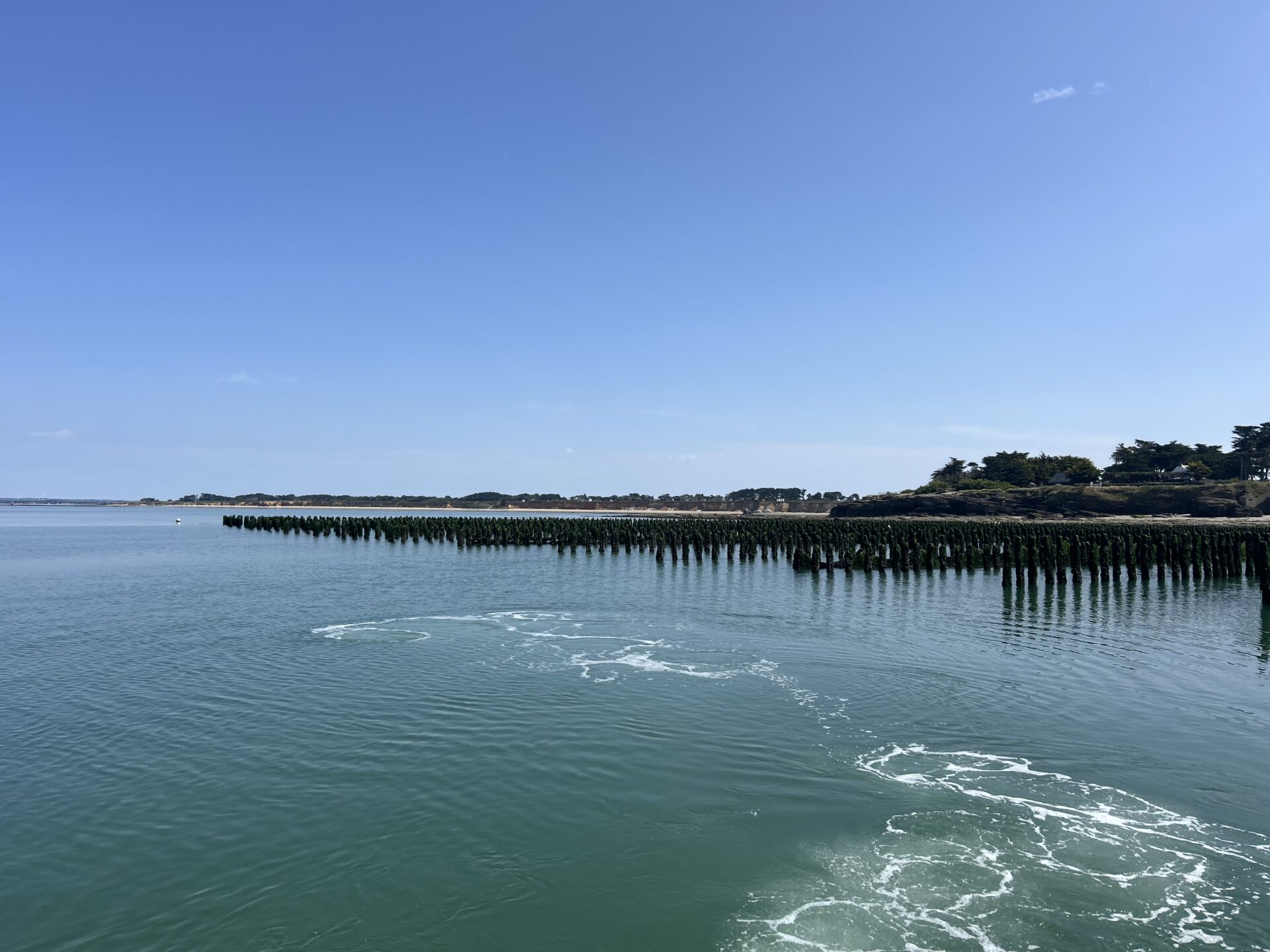 Sas Les Boucholeurs Moules De Bouchot Penestin IMG 4772 1